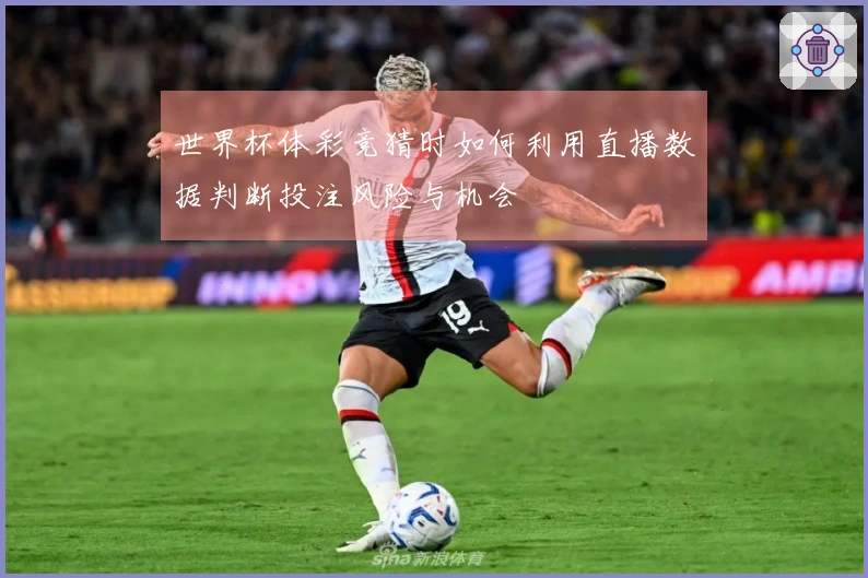 世界杯体彩竞猜时如何利用直播数据判断投注风险与机会