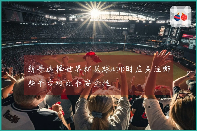 新手选择世界杯买球app时应关注哪些平台对比和安全性