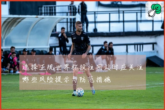 选择正规世界杯投注网站时应关注哪些风险提示与防范措施