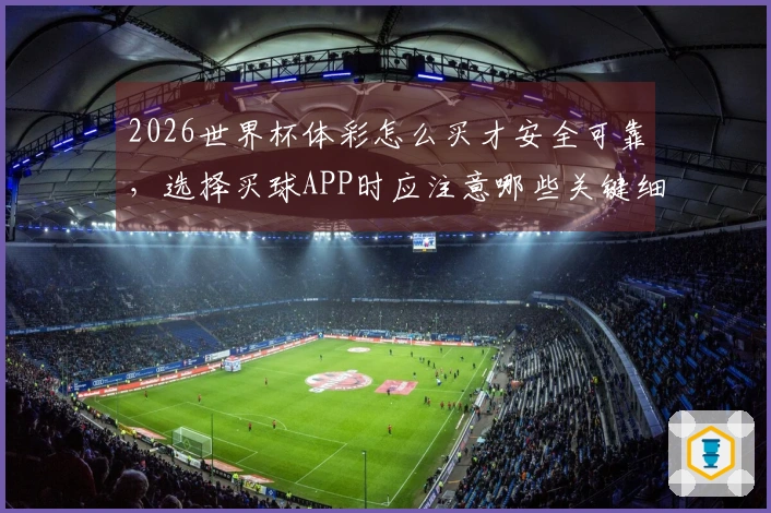 2026世界杯体彩怎么买才安全可靠，选择买球APP时应注意哪些关键细节