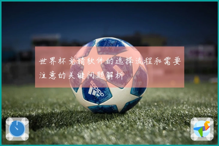 世界杯竞猜软件的选择流程和需要注意的关键问题解析