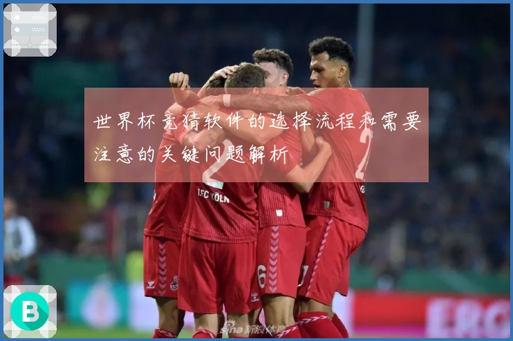 世界杯竞猜软件的选择流程和需要注意的关键问题解析