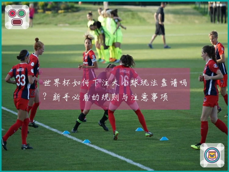 世界杯如何下注大小球玩法靠谱吗？新手必看的规则与注意事项