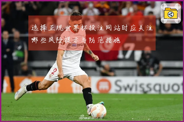 选择正规世界杯投注网站时应关注哪些风险提示与防范措施